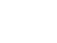 figurespeedtesttt